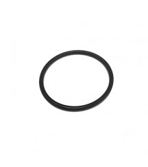 O-ring 21138584